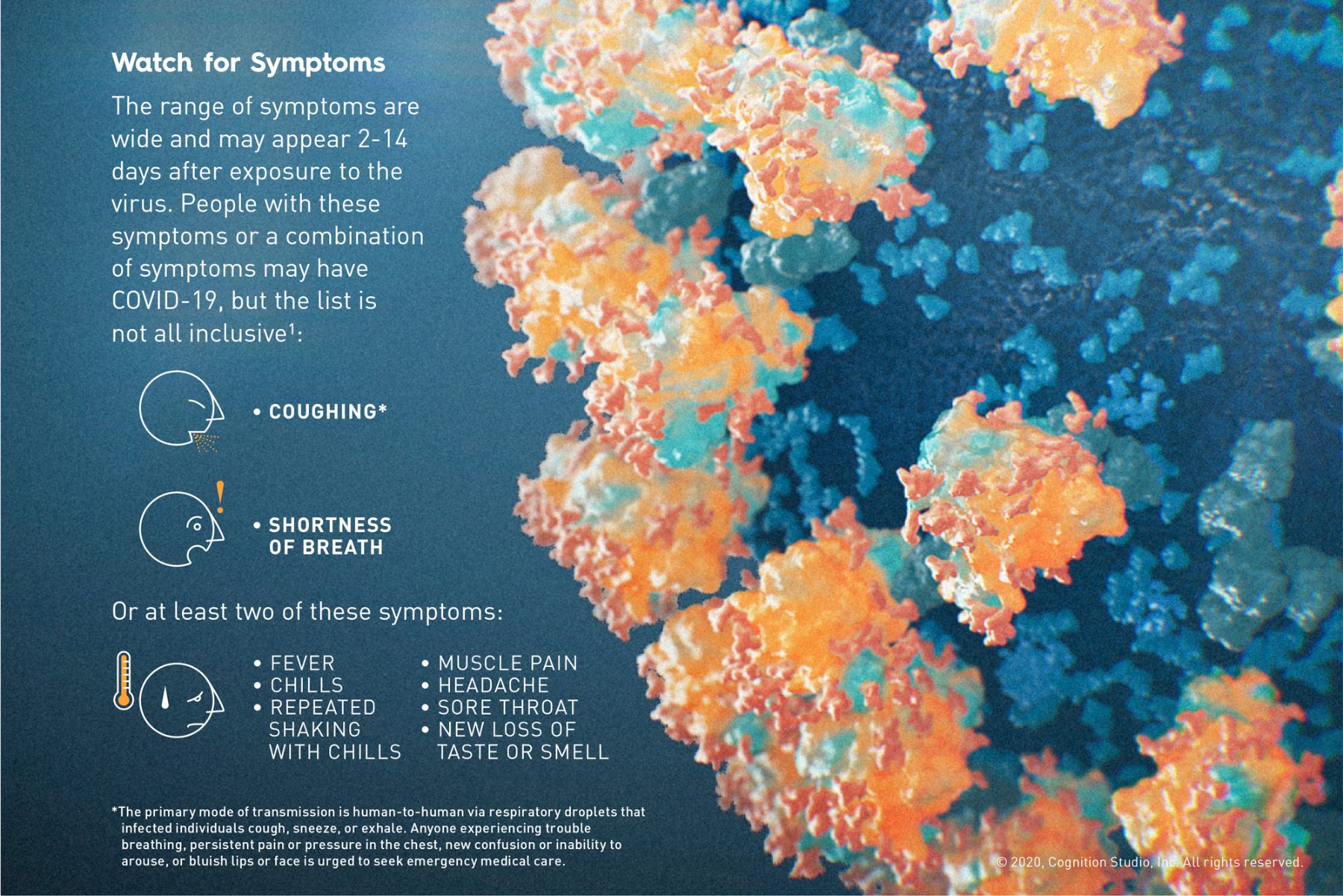 Watch for symptoms figure