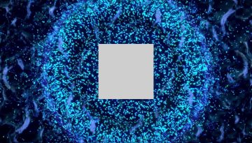 Digital floor: the calm surface