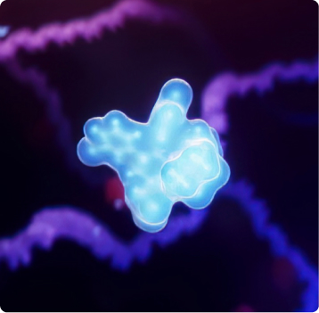 iPad presentation: molecule detail