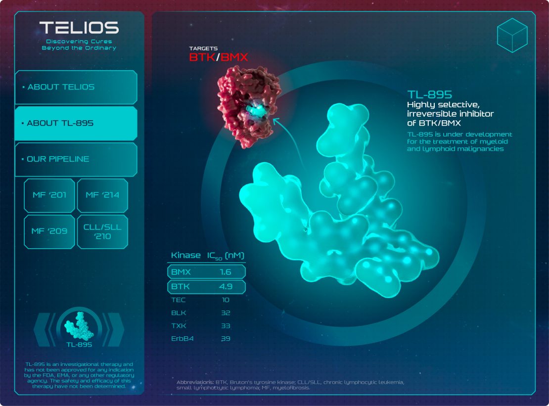 Animation frame: cellular response