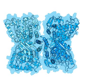 Mechanism of action illustration