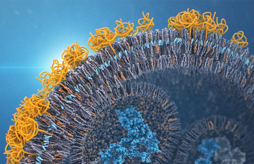 Lipid nanoparticle carrying mRNA