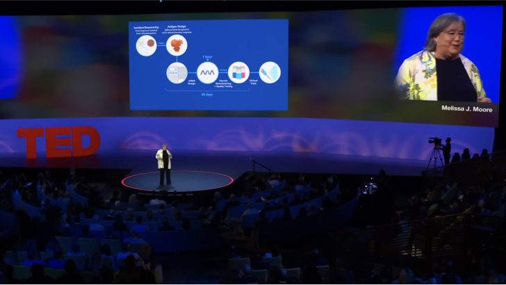 Melissa J. Moore on the TED 2022 stage, presenting the antigen-to-clinical-trial timeline