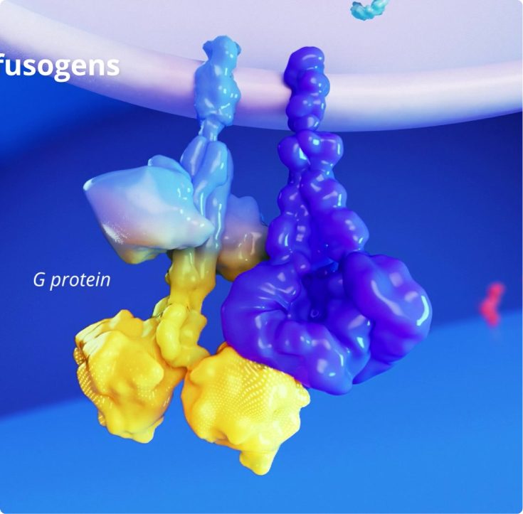 Hypoimmune cell surface rendered in 3D