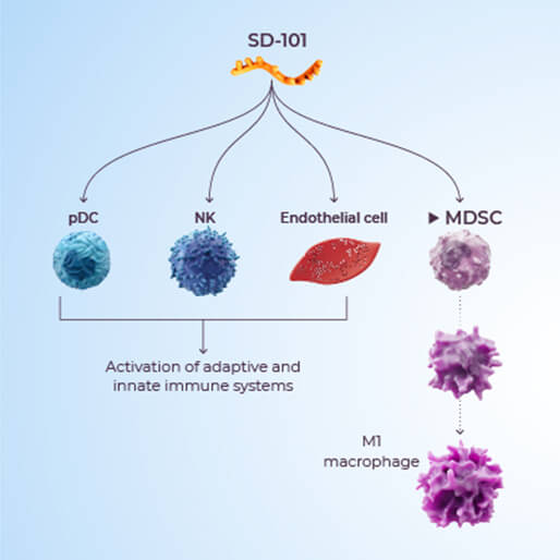 One agonist, four cell types, and the conversion of a suppressor cell into an M1 macrophage.