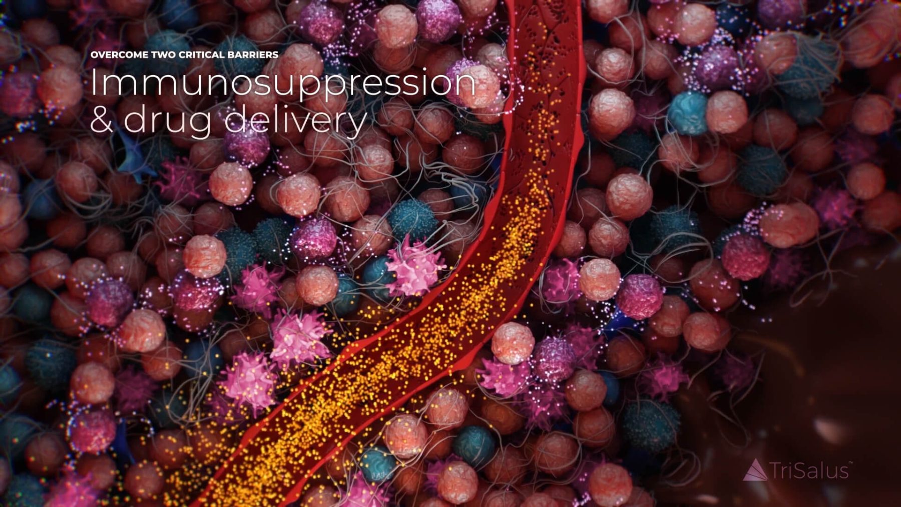 Tumor microenvironment frame showing immunosuppression and drug delivery