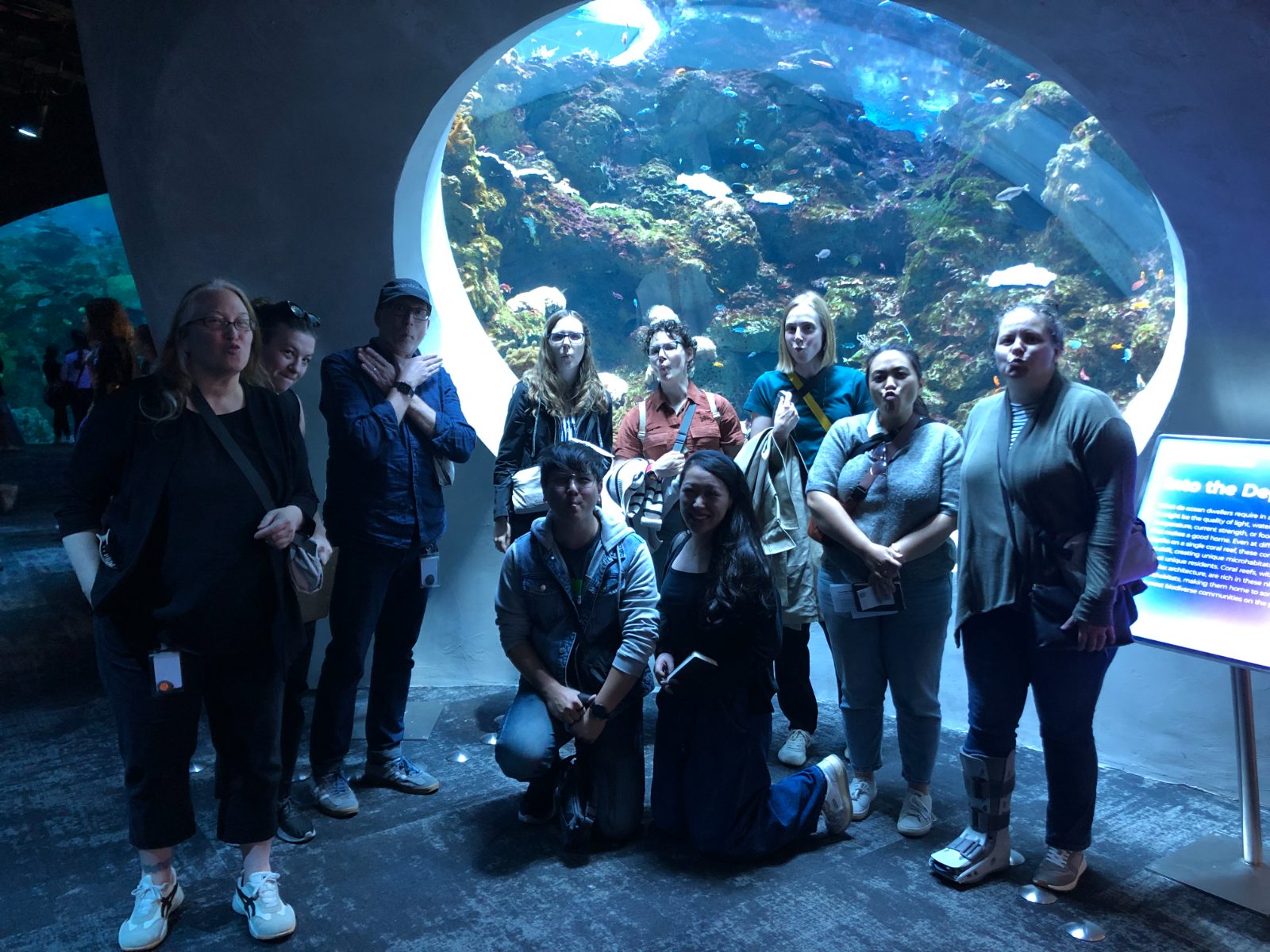 The studio on an outing together at an aquarium