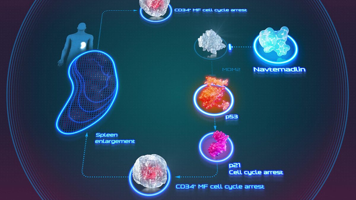 Molecular visualization